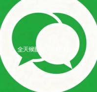 全天候服务，24小时微信联系方式回收，轻松变现！